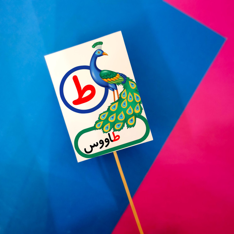 حرف ط مثل طاووس